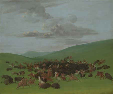 George Catlin : Buffalo Chase, A Surround by the Hidatsa