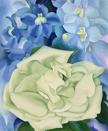 Georgia Totto O'Keeffe : White Rose with Larkspur No. I