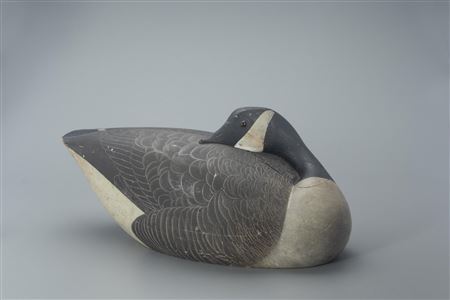 Charles Safford : Safford Sleeping Canada Goose