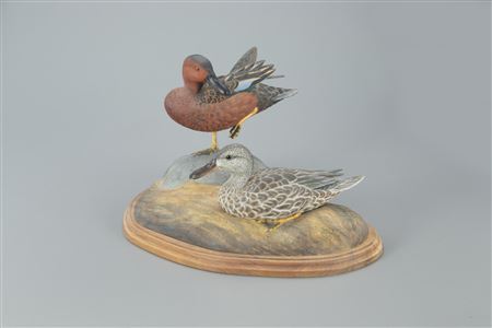 Robert Kerr : Cinnamon Teal Pair