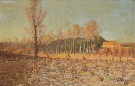 Marius Castelli : Landscape