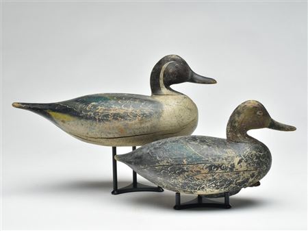 Norman Hudson : Pair of pintails