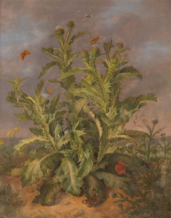 Johann Georg Seitz : GROssES DISTELSTILLLEBEN MIT WIESENBLUMEN UND SCHMETTERLINGEN