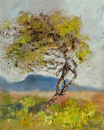 Jim Holmes : 'FAIRY THORN NEAR MUCKISH, DONEGAL'