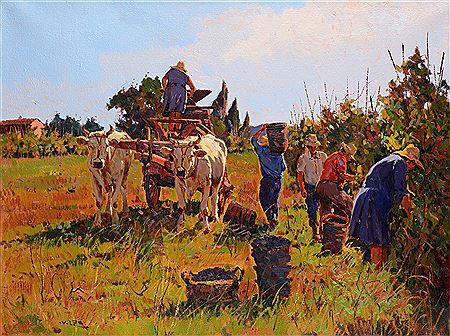 Angiolo Volpe : The grape harvest