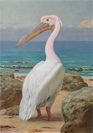 Henry Stacy Marks : Pelican