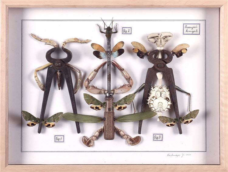 Jan Svankmajer : From Auction Records