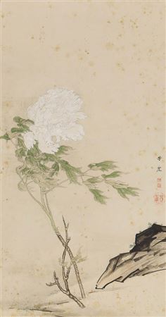 Hogai Kano : Peony