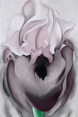 Georgia Totto O'Keeffe : Black Iris VI