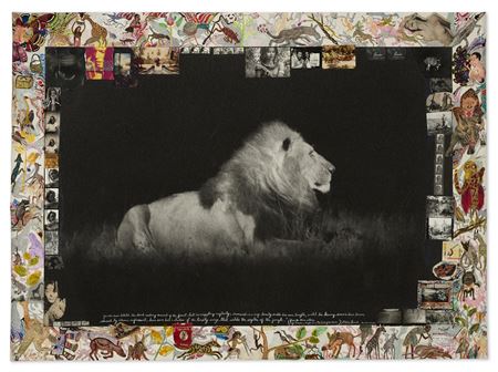 Peter Hill Beard : Lion at Night, 1984