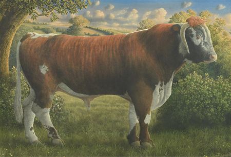 James Lynch : THOMAS, THE LONG-HORN BULL