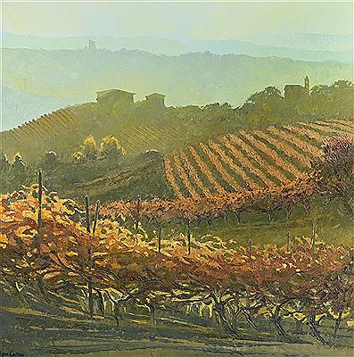 Alan Cotton : PIEMONTE - ROWS OF VINES AT MONTELUPO ALBESE