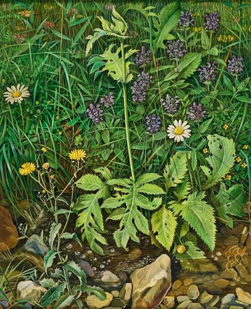 Hans Schwarzenbach : Meadow flowers at the brook