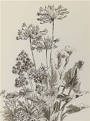 Van Truex : Garden Flowers