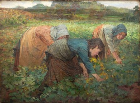 George Robert Rushton : 'Three Women Harvesting Vegetables'