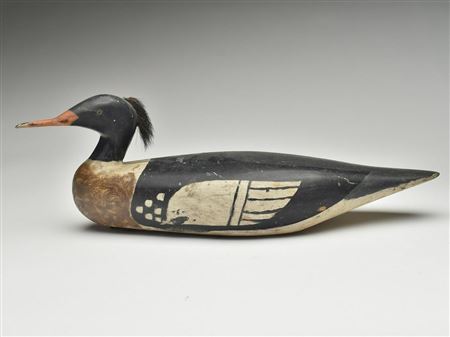 Orlando Bibber : Oversize merganser