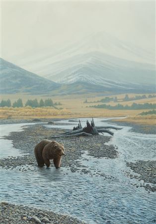 Michael Budden : Wilderness Walk Grizzly