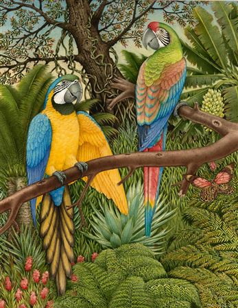 Peter Longhurst : Blue and Yellow Macaws