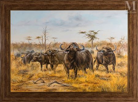 Pierre Couzy : Herd of buffalos in the savanna