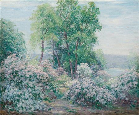 William Smith Robinson : Mountain Laurel