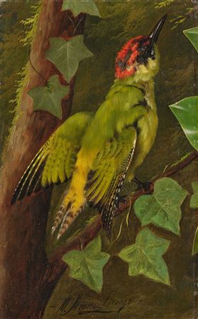 Michelangelo Meucci : Study of a green woodpecker