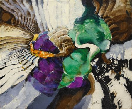 Frantisek Kupka : Complexe