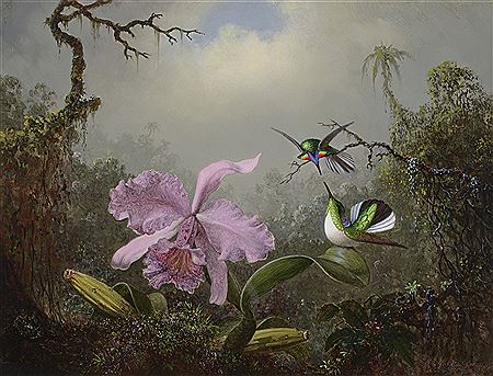 Martin Johnson Heade : Cattleya Orchid with Two Brazilian Hummingbirds