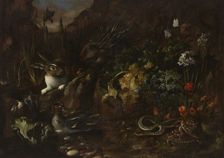 Paolo Porpora : A forest floor with a porcupine, rabbit, ducks, tortoises and a snake