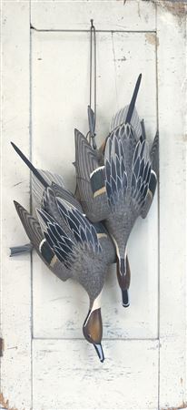 Grayson Chesser : Hanging Pintails