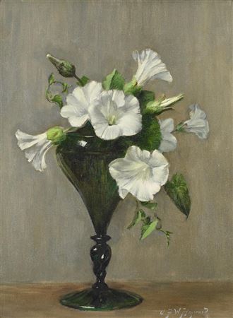 Alfred Frederick William Hayward : WHITE CONVOLVULUS