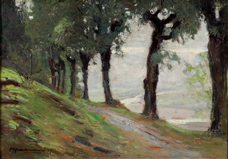 Max Hirschenauer : Walk along the rows of trees