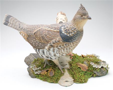 Pat Godin : Birch Lake Ruffed Grouse