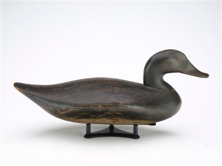 James T Holly : Black Duck