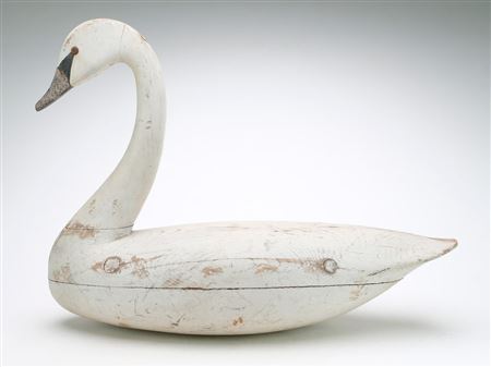 Charles Birch : Swan