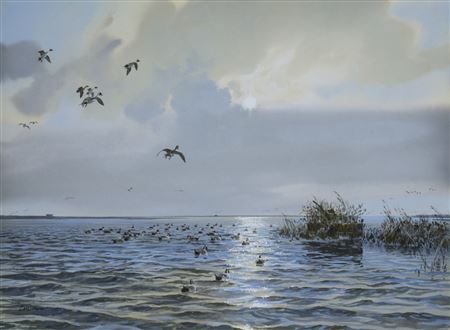 John Cowan : Pintails in Rockport, TX