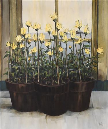 Roy Bailey : 'Chrysanthemums in Pot', 1975