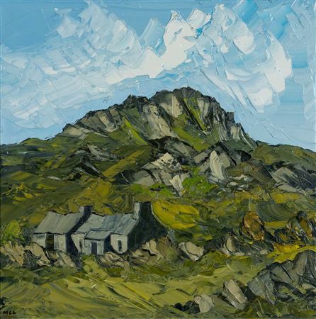 Martin Llewellyn : 'Cottage, Garn Fawr'