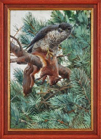 Gunnar Aberg : Sparrowhawk with squirrel