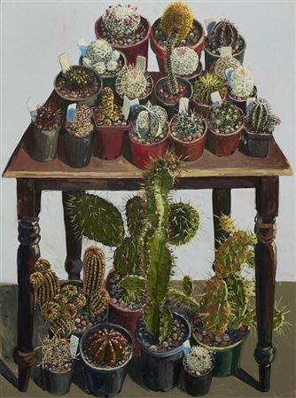 Lucy Culliton : Cactii