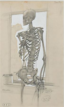 Robert Sargent Austin : Study of a skeleton