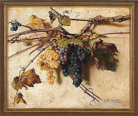 Josep Mirabent Gatell : Grapes