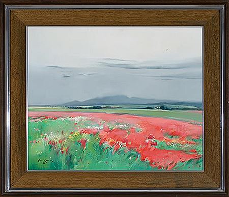 Lluis Roura : Poppy Field