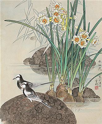 Yunpeng Tian : BIRDS AND NARCISSUS