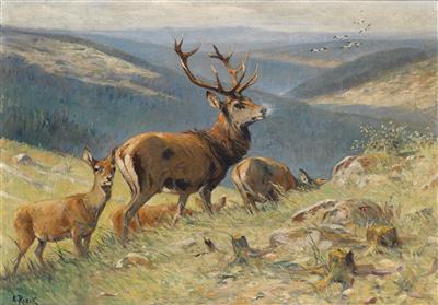 Emil Rieck : Royal Stag Leading Hinds