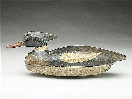 Mark English : Important merganser drake