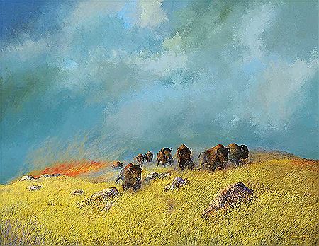 Milton Achtimichuk : Untitled - Stampeding Buffalo