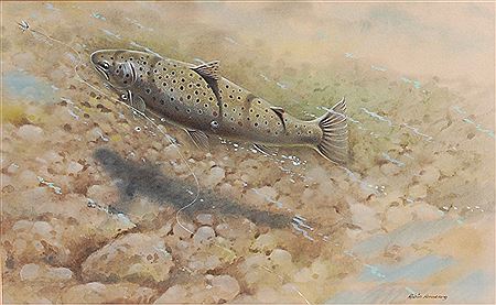 Robin Armstrong : Trout on the riverbed