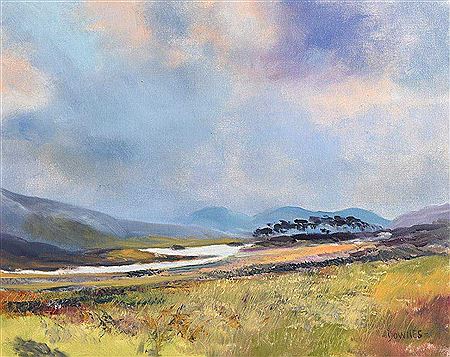 Michael F Downes : Derryclare Island