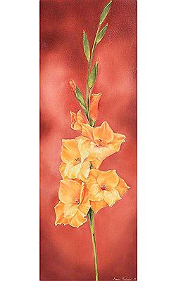 Maria Kisbodri : Gladioli