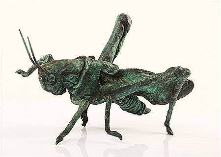 Agnes Nagy : Grasshopper (2011)